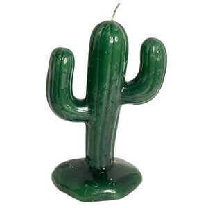 Mexico Arizona Southwestern Sonoran Desert Saguaro Cactus Cacti Green Candle VTG